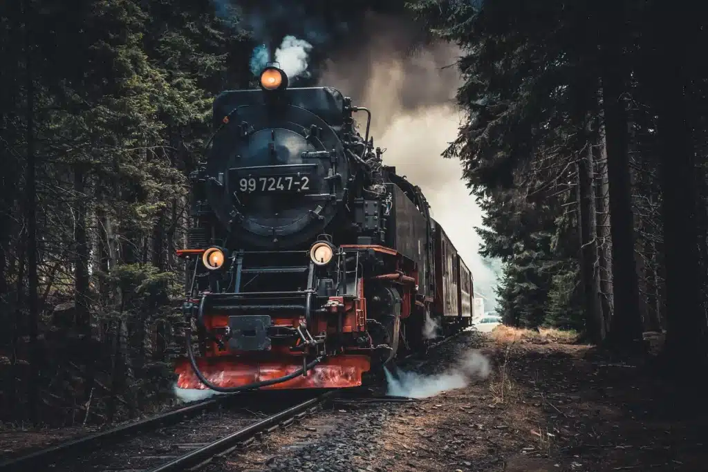 historische Dampflokomotive fährt durch einen Wald