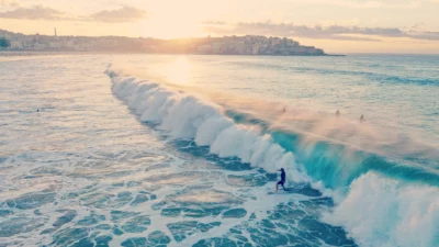 viele Surfer vor Sonnenuntergang mit großer Welle