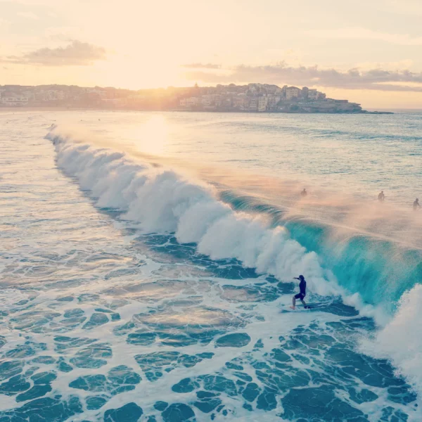 viele Surfer vor Sonnenuntergang mit großer Welle