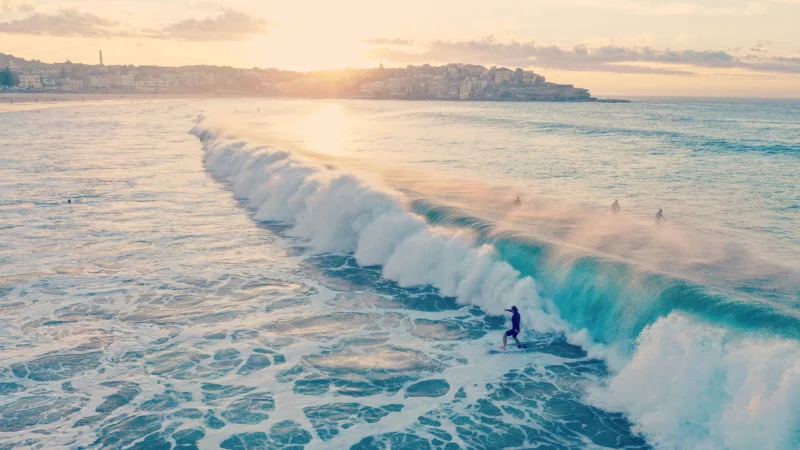 viele Surfer vor Sonnenuntergang mit großer Welle